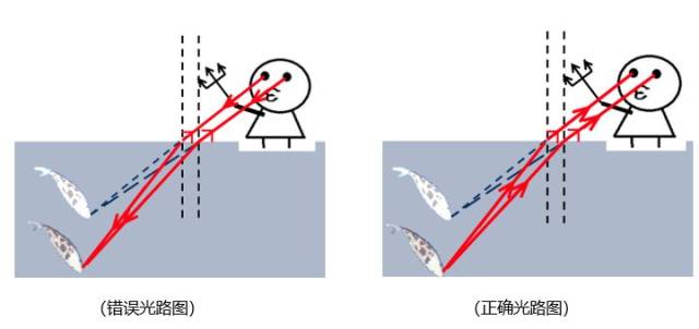 物理叉鱼折射原理图图片