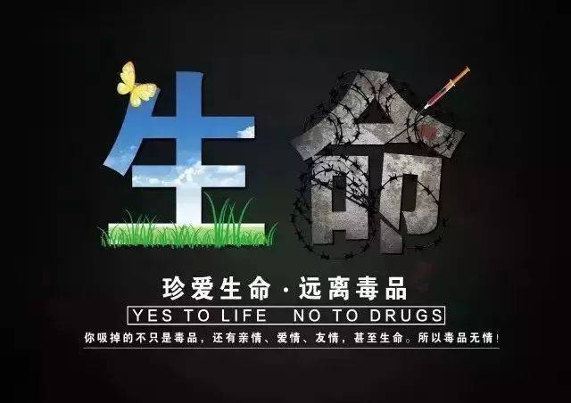 禁止吸毒的标语图片