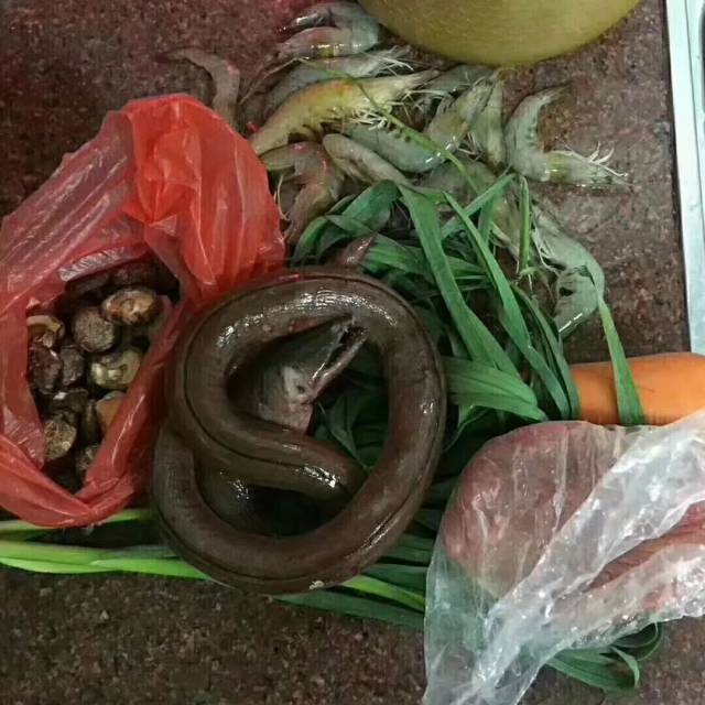 这碗东山岛的土龙汤足以滋补你整个冬天