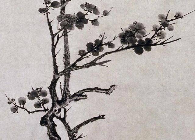 明，唐寅《墨梅图》（北京故宫博物院藏）_搜狐网