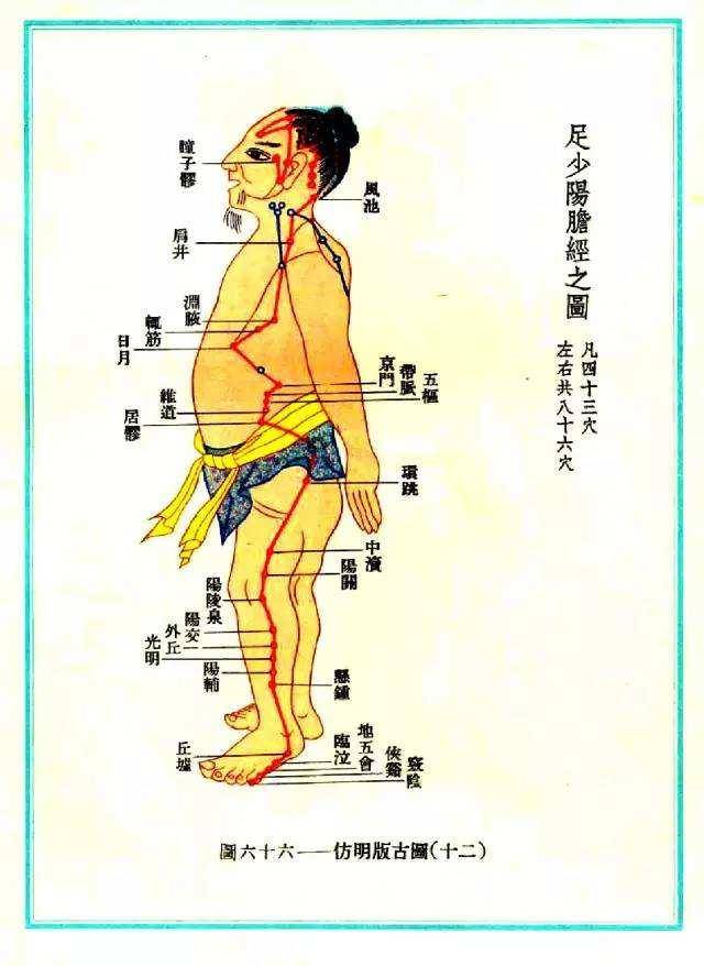 經常調理膽經有助於肝臟的健康並有減肥減脂的效果