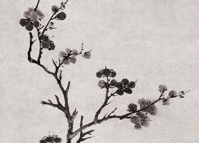 明，唐寅《墨梅图》（北京故宫博物院藏）_搜狐网