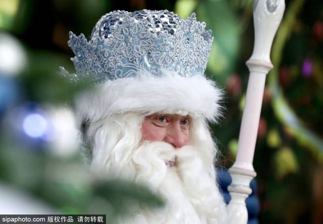 迎接2019新年!俄罗斯版圣诞老人和萌猪齐上阵