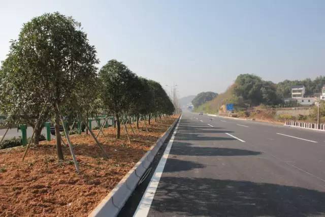 351国道浦江段 开始交工检测