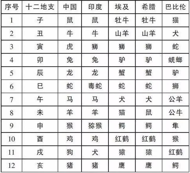 猫猫这么可爱,可是为什么12生肖里没有猫?