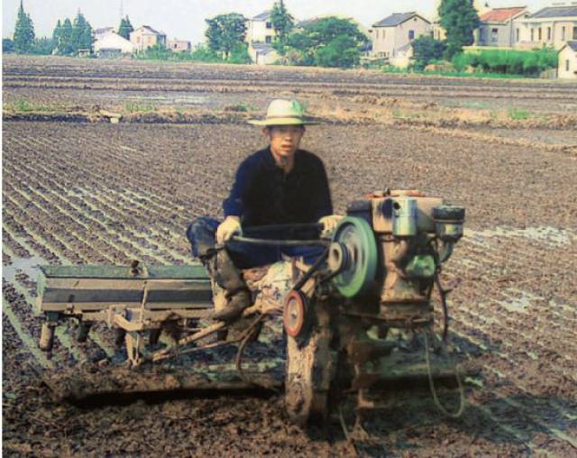 水稻机械直播80年代