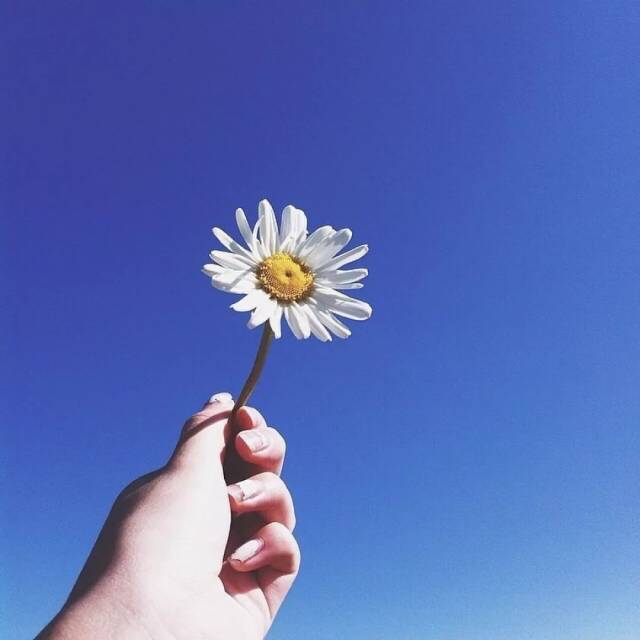 蓝色系女生头像