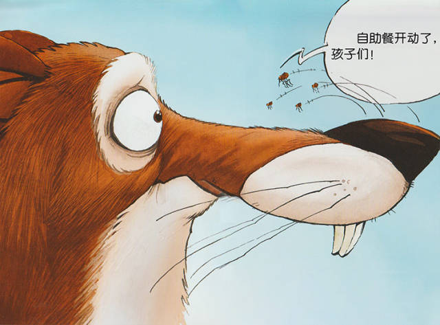 什么是跳蚤,跳蚤和虱子是同一种动物吗?