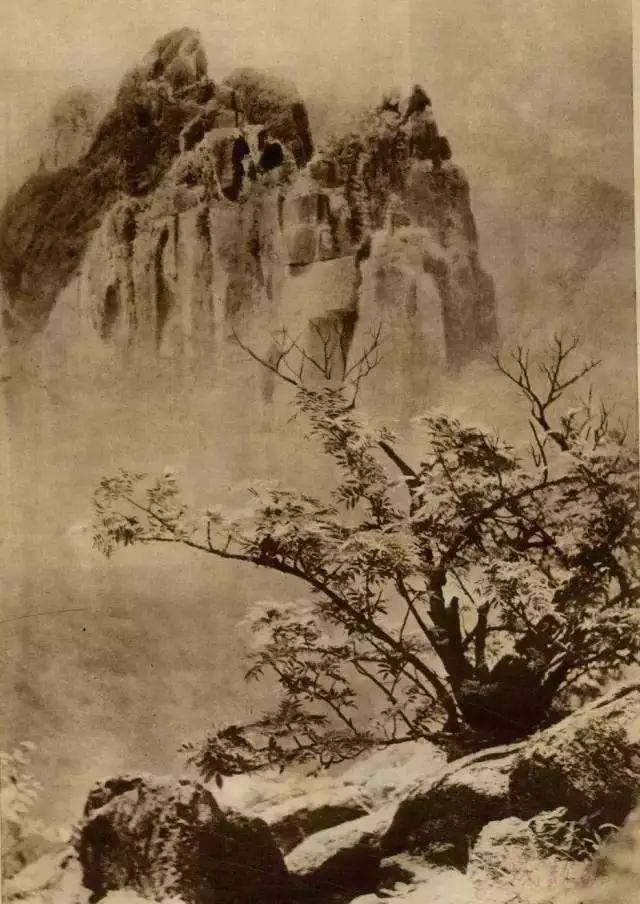 郎静山《黄山树石》