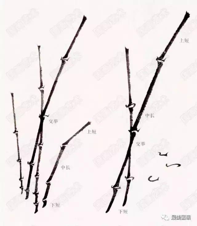 国画竹子写意画法图文教程竹干竹枝竹叶写意画法步骤图，竹子构图法_搜狐网