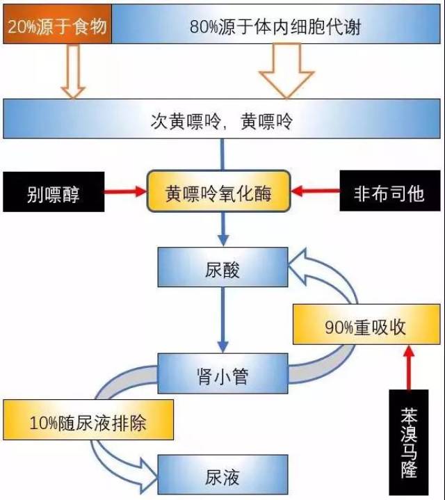 非布司他别嘌醇苯溴马隆区别痛风到底应该用哪种