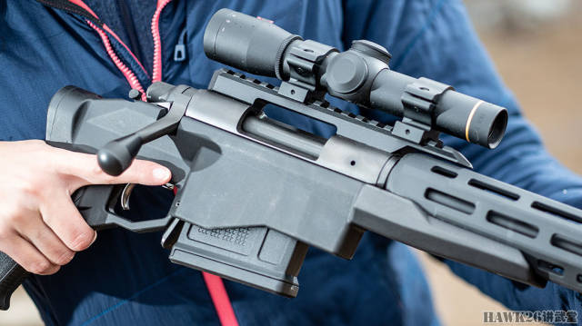 308温彻斯特,.223雷明顿和.300 blk.