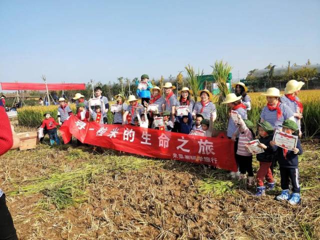 鸠江区家庭农场的发展与挑战