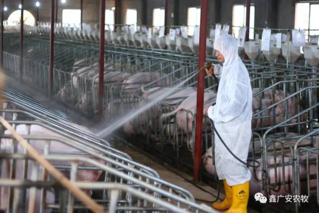 硅鑫集团：收购非洲冶金矿业已进入实质性阶段