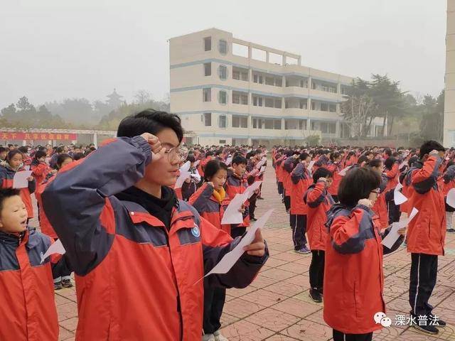 溧水区洪蓝开展中学生向宪法宣誓仪式