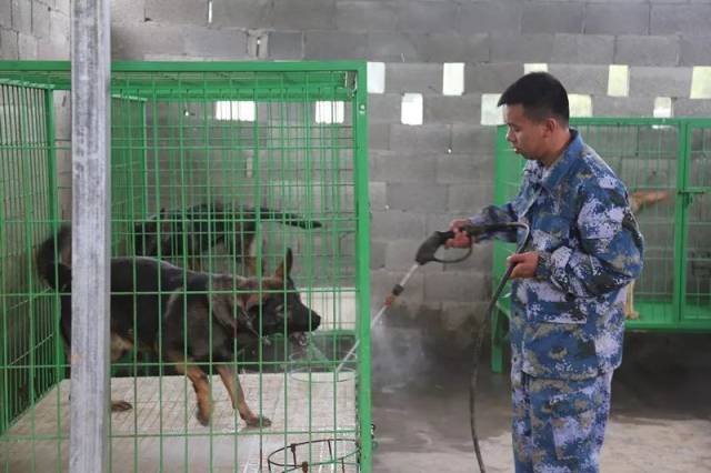 (附视频)90后兴文小伙身上多处受伤,海军退役回乡干这事儿!