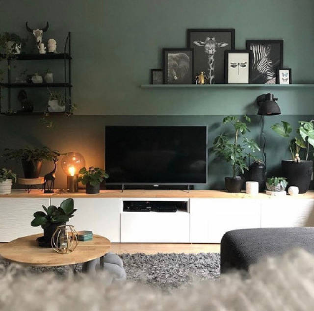 令人赏心悦目的复古绿家装,温馨感与高级感并存.