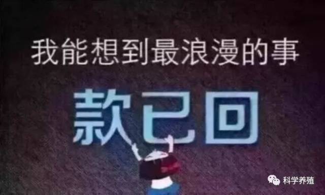又到年底回款时,您的款回了吗?