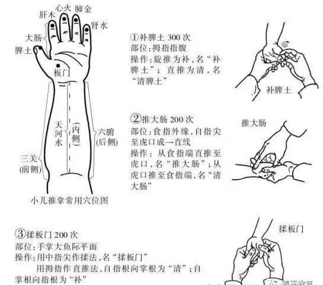 五指手背对应五脏图,手背对应的五六腑图,手背对应的片(第2页)_大山谷图库
