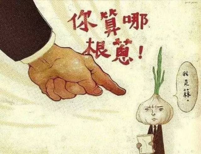 给跪了!能听懂的绝对是地道的青龙人.