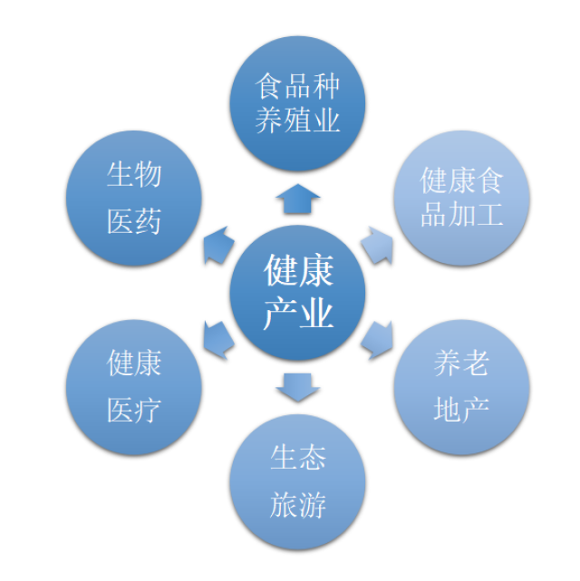 中国大健康产业市场规模分析预测