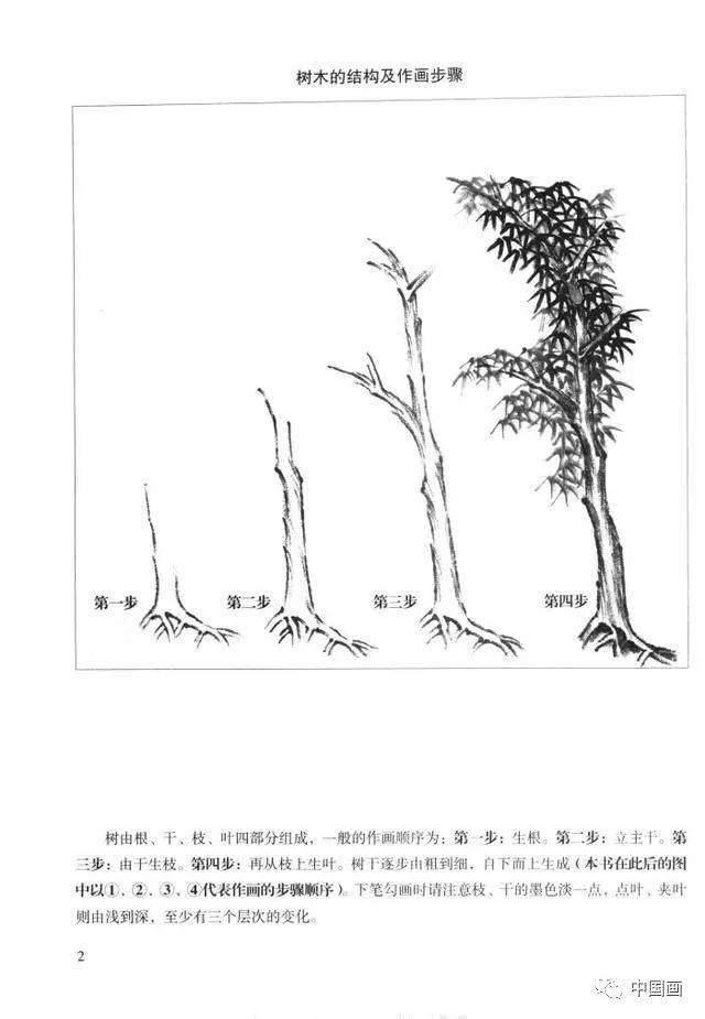 大树的结构图片与名称,大树的基本结构,大树构成分解图图片(第2页)_大山谷图库