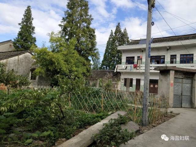 【市级优美庭院创建展示】百步镇胜利村——美啦美啦!