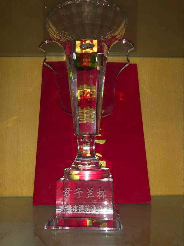 近日 2018年"君子兰"杯优质工程奖评选结果揭晓 由中建五局安装公参建