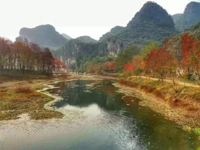 金秀旅游的魅力之旅
