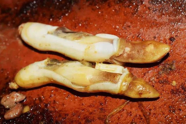 竹节螺:也是很大只.有成年人的中指那么长,肉韧结实.