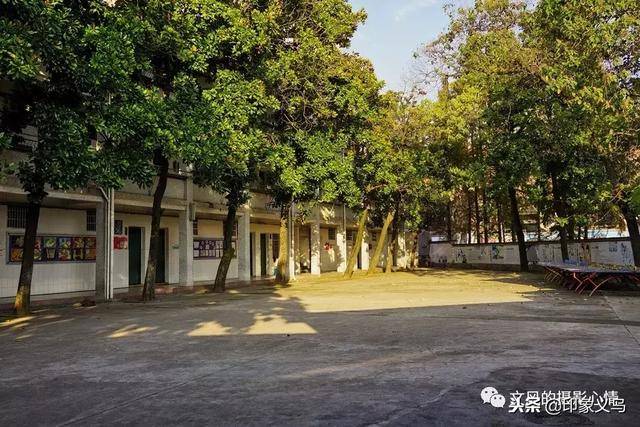 义乌稠城三小 让我再看你一眼从南到北