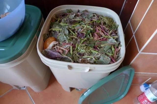 比如菜叶,菜根,果皮,果核,剩饭菜等等.