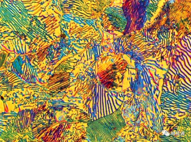 高清金相图谱之碳素工具钢(彩色)