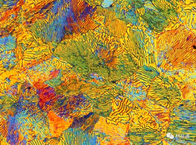 高清金相图谱之碳素工具钢(彩色)