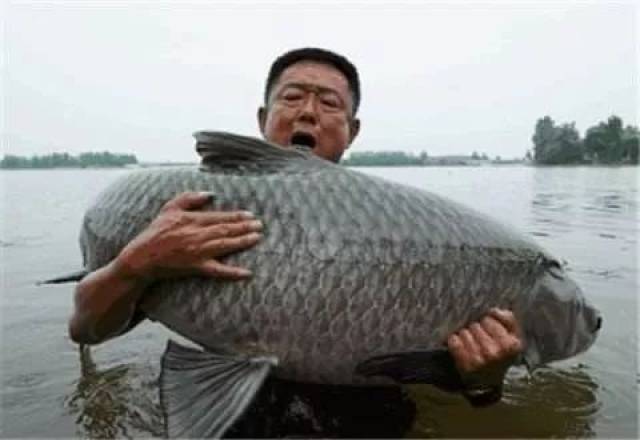 《游钓中国4》--奇遇奉节世外桃源 探钓神秘天