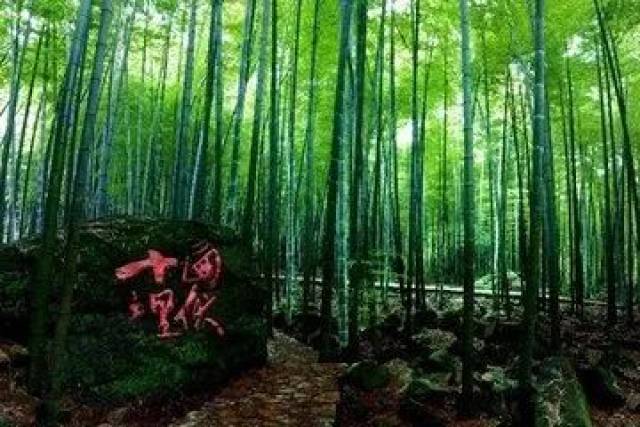 电影《十面埋伏》,你了解多少?