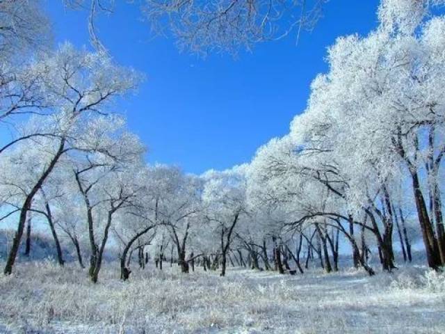 豈憑瓊玉冰清貌, 淨化長空感動人. 久違的雪 看