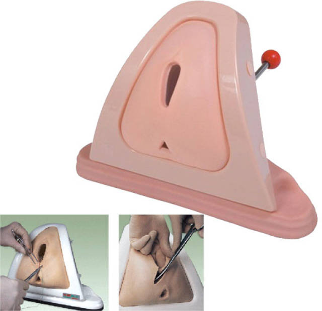 会阴缝合练习模型,阴道缝合教学模型-上海宸域