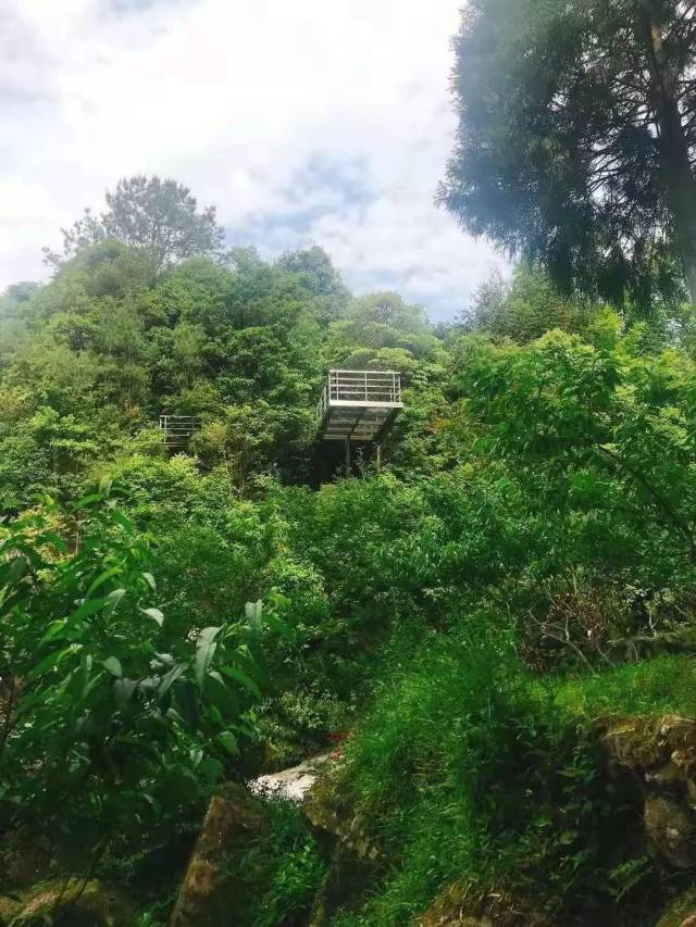 【旅游】"大溪源"泰顺的世外桃源