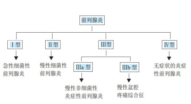 前列腺炎分為4種類型療效判定不能單純依賴檢查