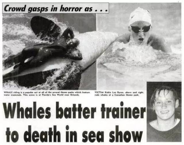 一幅美图的背后,有你想像不到的残忍.