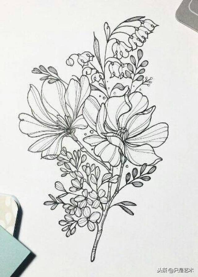 线描黑白花朵合集,一组好素材,值得收藏