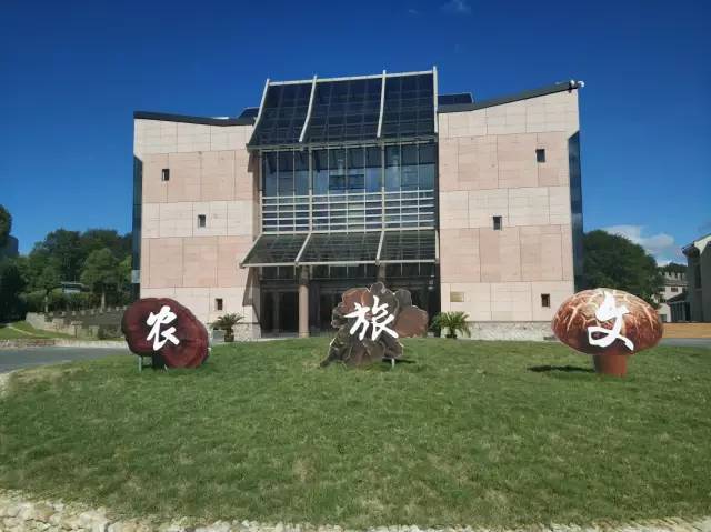 【199元看金庸武侠,寻龙泉宝剑】寻金庸笔下龙泉宝剑 .逛青瓷之花.情