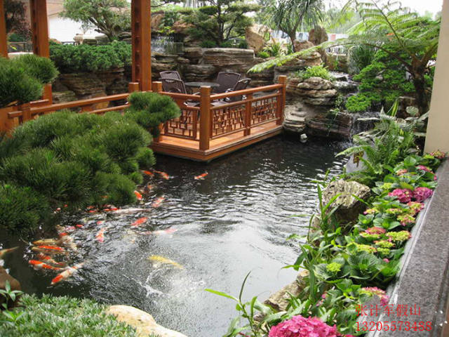 宁波庭院设计假山鱼池图片