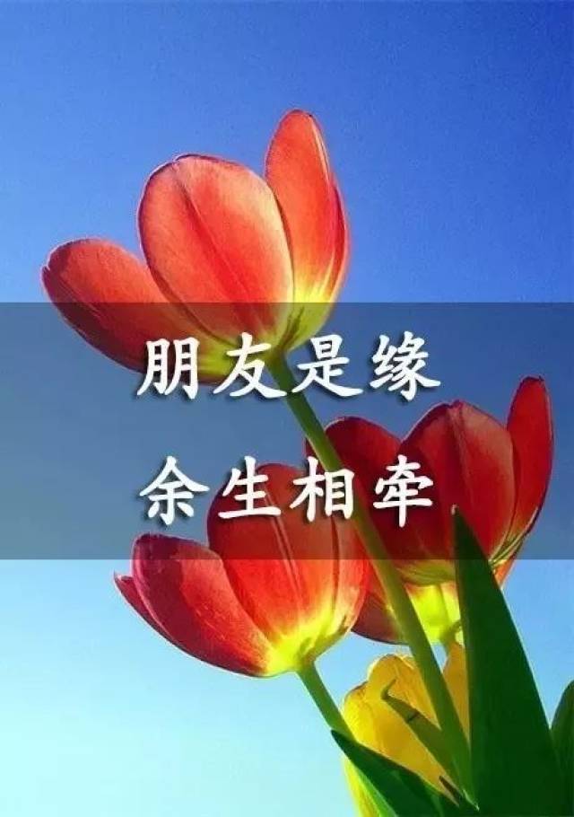 友情全凭一个信字延续