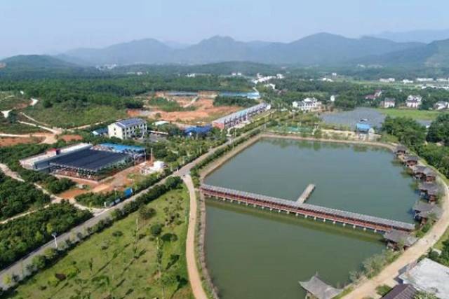 (鸟瞰安仁县永乐江镇山塘村,山青水碧)