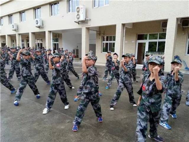 东莞报业雏鹰少年|2019军事冬令营火热招募!