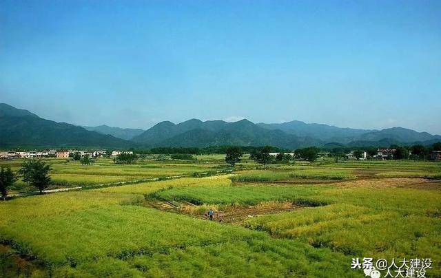 伊川县高山镇谷瑶村是省定贫困村,距镇政府所在地2公里,耕地面积1100