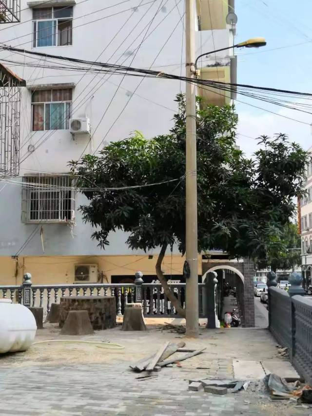 (地址:江滨一支路) 电线杆上贴满了密密麻麻的小广告