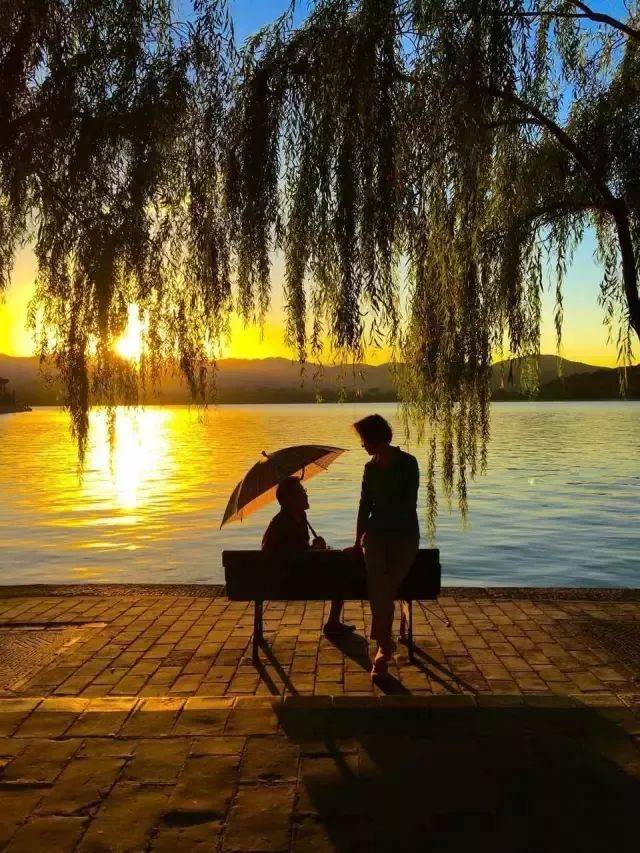 平说 | 震撼!这些中国人用自己在国外的经历和遭